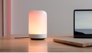 Voice Control Light